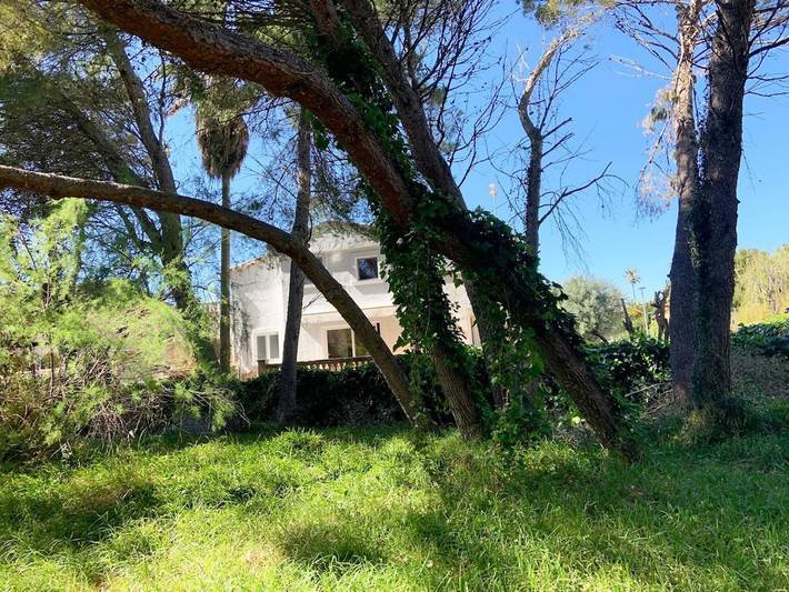 Finca mit hund für 6 Personen, mit Balkon und Terrasse sowie Garten und Ausblick in Playa de Muro - 3