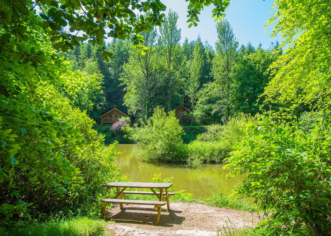 Hunters Lodge in Devon