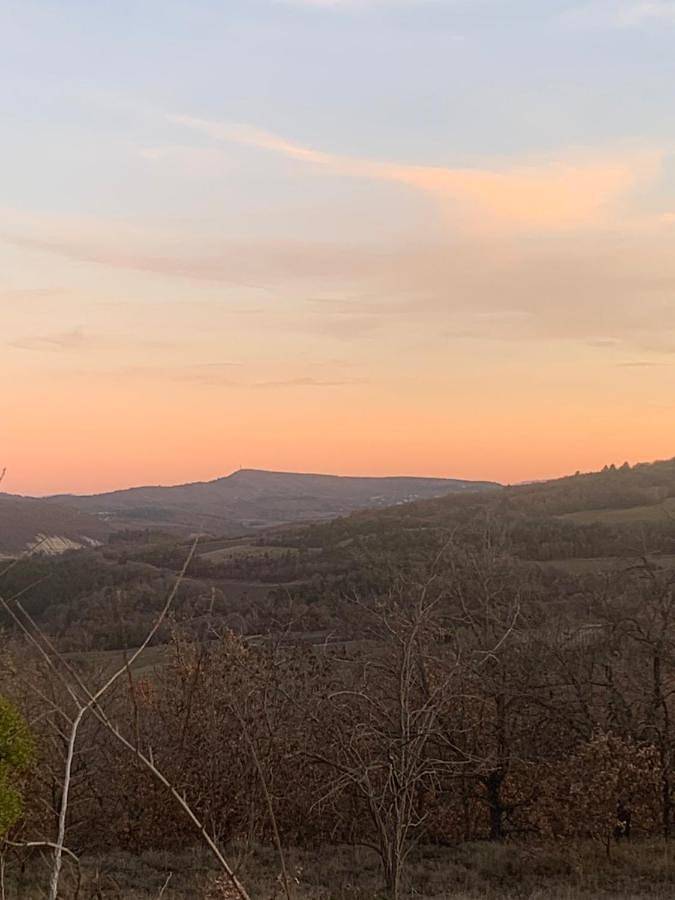 Location de vacances pour 10 personnes, avec piscine ainsi que vue et jardin, animaux acceptés à Revest-des-Brousses - 4