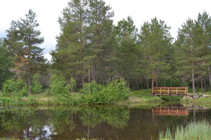 Lodge für 2 Personen, mit Ausblick und Garten, kinderfreundlich in Ost-Norwegen - 3