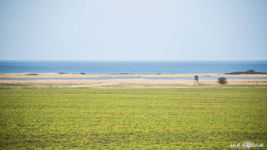 Ferienwohnung für 4 Personen, mit Sauna und Garten sowie Ausblick und Pool, mit Haustier in Bastorf - 4