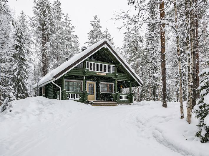 Metsätähti in Kainuu