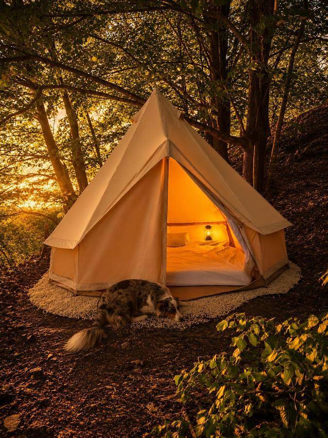Tipi Nature a l'Ombre des Tilleuls à Vialas en Cévennes - Animaux ferme in Vialas, Parc national des Cévennes