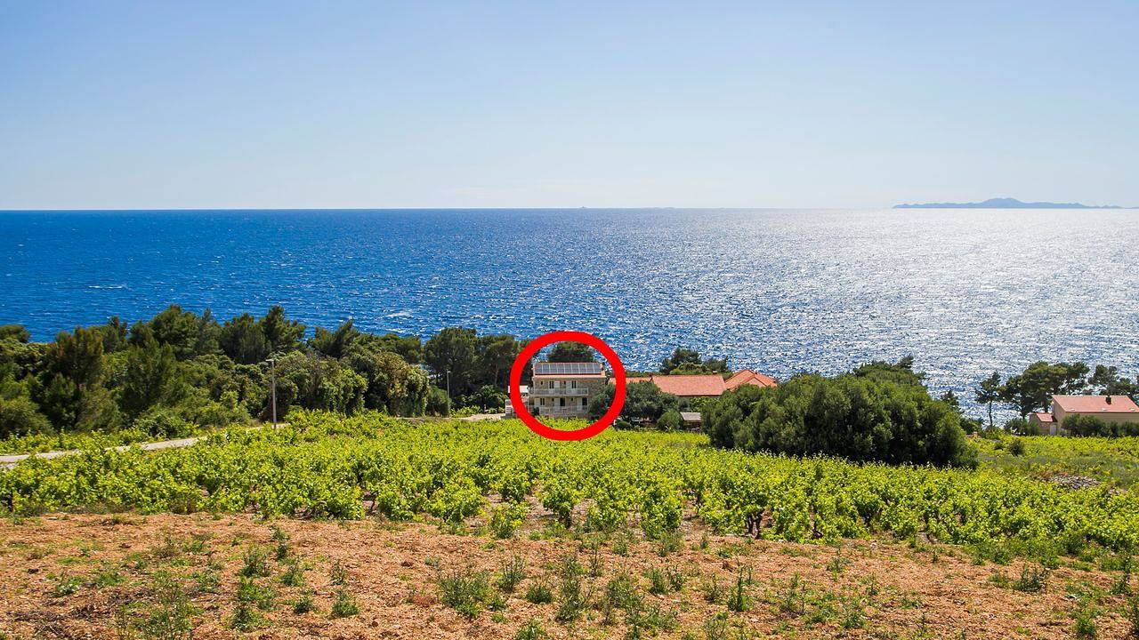 Ganze Ferienwohnung, Ferienwohnung für 3 Personen (30 m²) in Borak in Potomje, Dubrovnik-Neretva