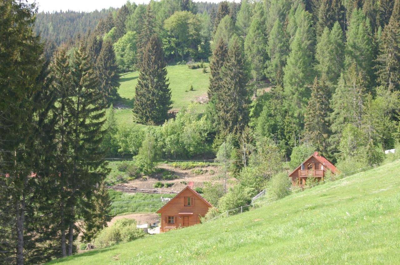 Chalet in Liebenfels, Mittelkärnten