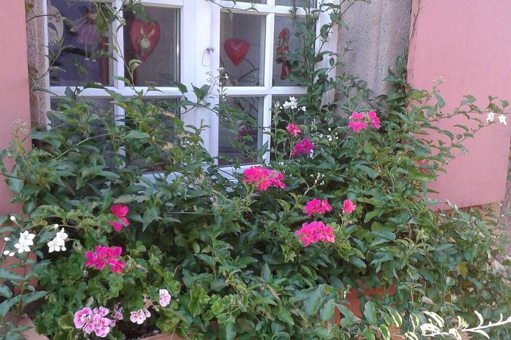 Entire apartment, 90m2 gîte coconing, between Colmar and Strasbourg, on the beautiful Route des Vins in Ribeauvillé, Parc naturel régional des Ballons des Vosges