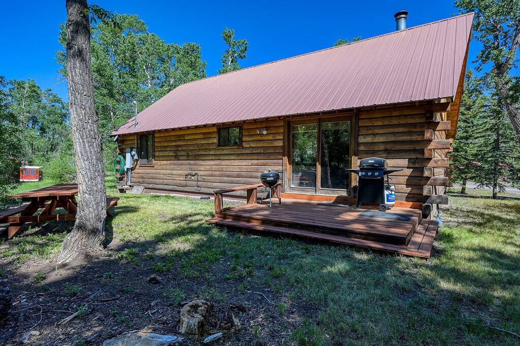 Dog-Friendly Cabin w/ Washer/Dryer, Wifi, & Firepit - Steps From the Rio Grande in Rio Grande National Forest