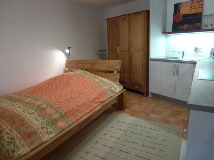 Gîte pour 2 personnes, avec jardin à Donaueschingen - 4