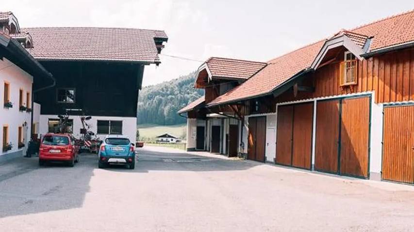 Bauernhof für 4 Personen, mit Garten im Salzburger Land - 2