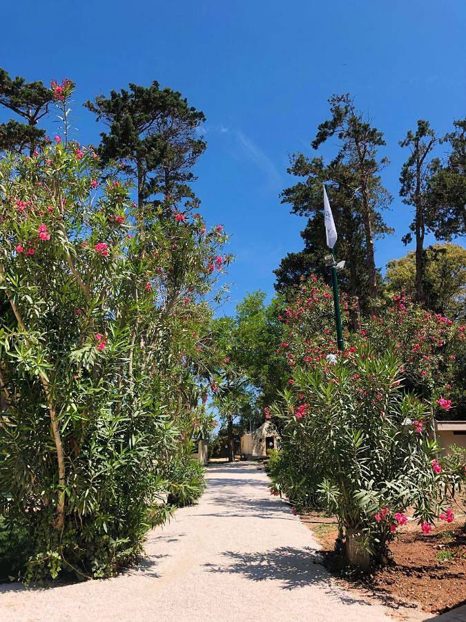 Classic Mobile Home in Otranto, Otranto e dintorni