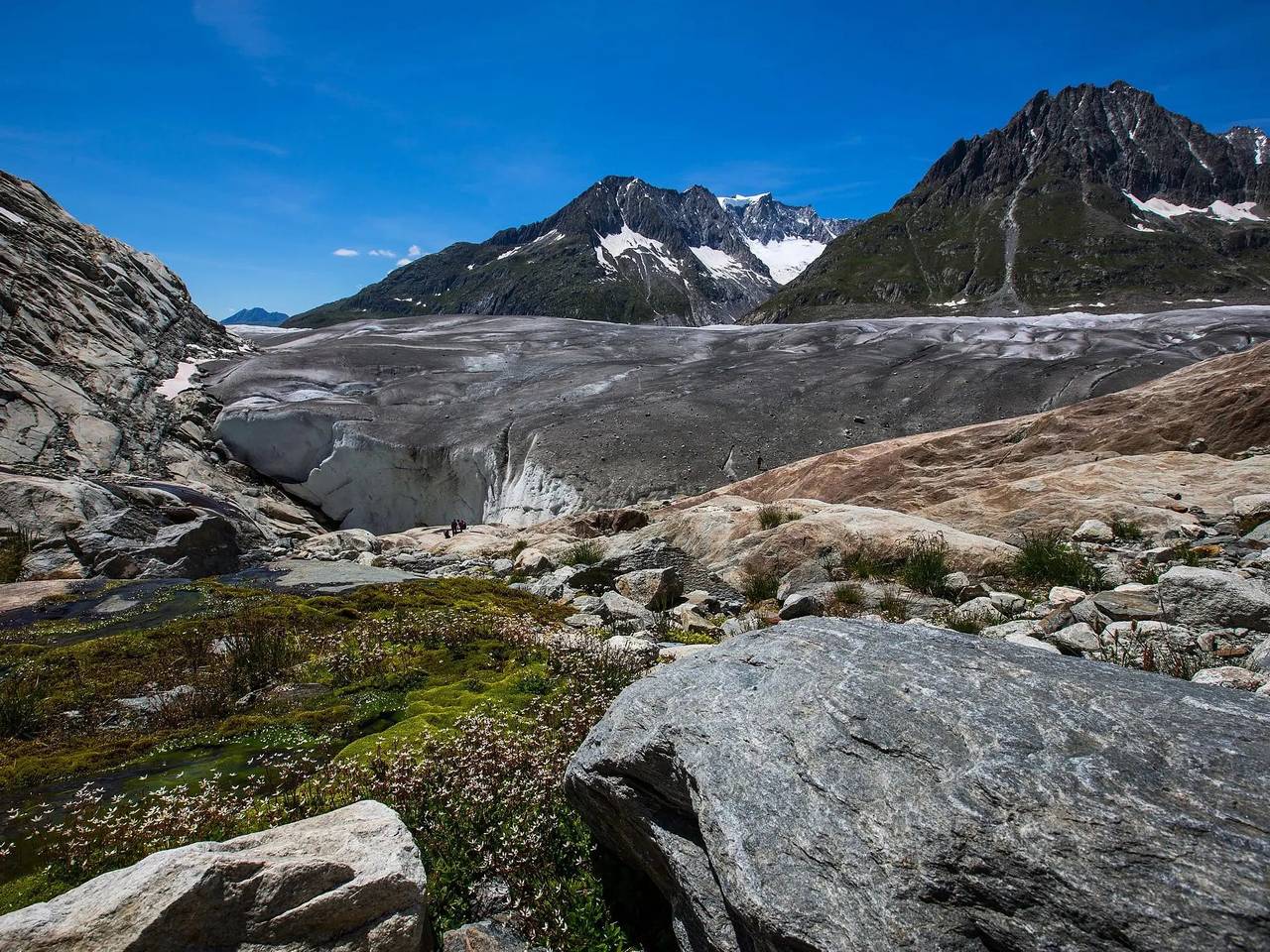 Apartamento entero, 2 Pièces 4 Personnes in Fiesch, Aletsch Arena