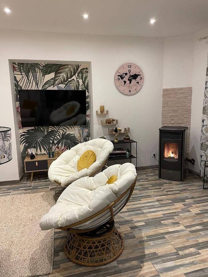 Location de vacances pour 5 personnes, avec jardin, animaux acceptés à Chabris - 2