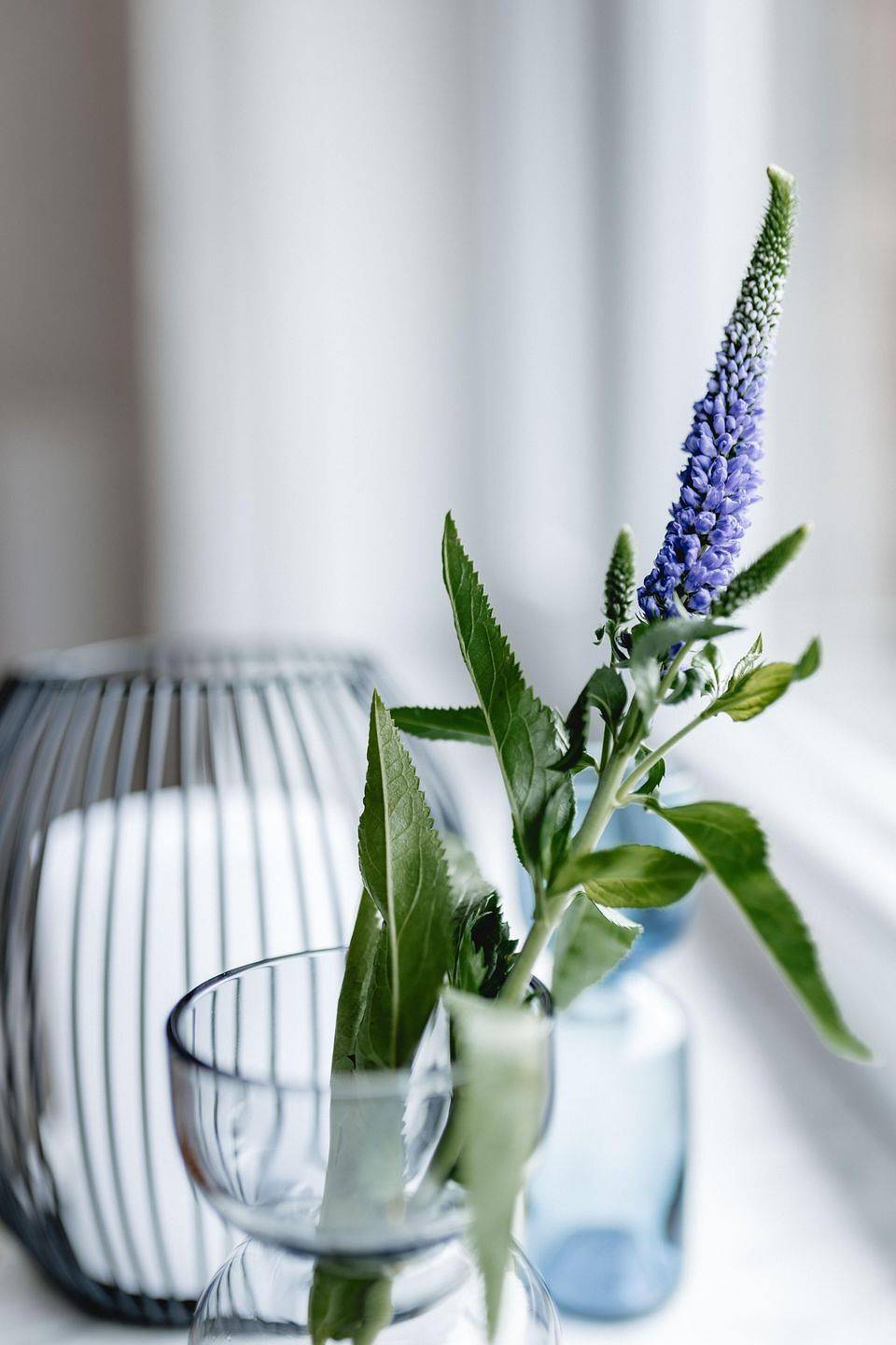 Ganze Wohnung, ⭐⭐⭐⭐ Abc- Ferienwohnung in Meersburg am Bodensee - Wohnung A in Meersburg, Region Bodensee-Oberschwaben