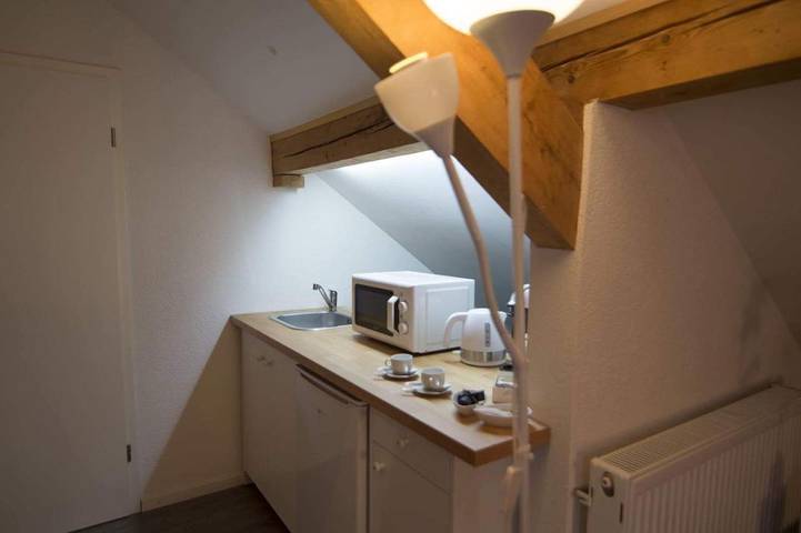 Gîte pour 3 personnes, avec terrasse à Morges - 3