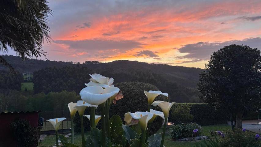 Casa rural para 11 personas, con vistas y jardín, Se admiten mascotas en Provincia de La Coruña - 2