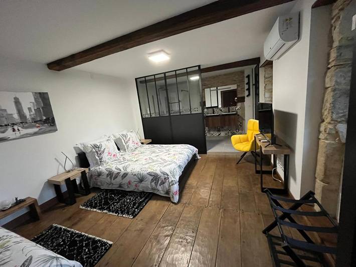 Chambre d’hôte pour 3 personnes, avec piscine ainsi que jardin et jacuzzi à Vielleségure - 3
