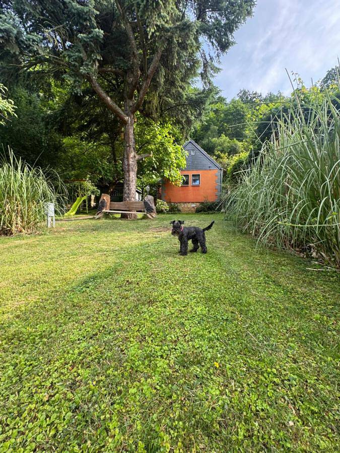 Ferienhaus für 6 Personen, mit Ausblick und Garten in Pirna - 3
