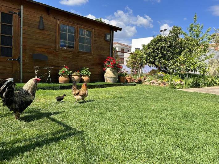 Casa rural para 3 personas, con vistas además de piscina y jardín, Se admiten mascotas en Provincia de Valencia - 2