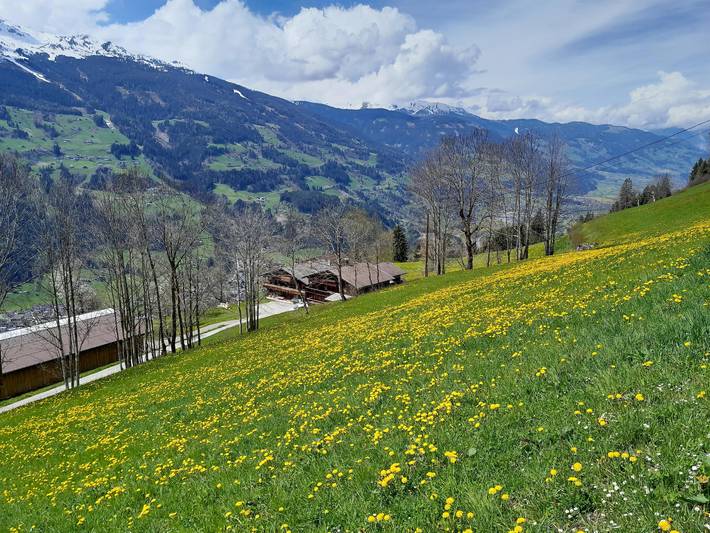 Hütte für 15 Personen, mit Sauna und Garten, mit Haustier in Aschau im Zillertal - 2