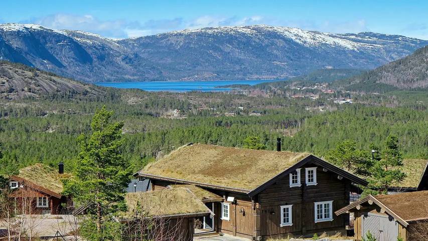 Feriehus for 16 personer, med sauna og terrasse, dyr tillatt i Telemark