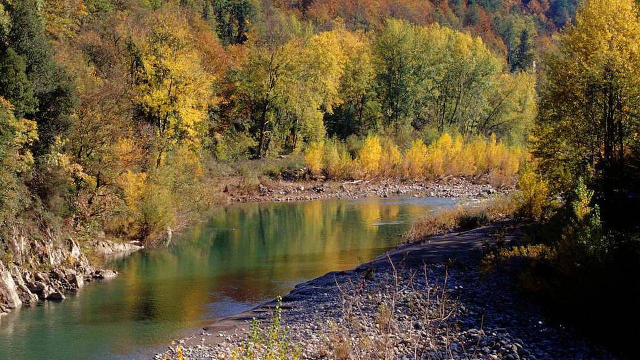 Ferienhaus für 2 Personen (50 m²) in Sesta Godano in Rio (Sesta Godano), Sesta Godano