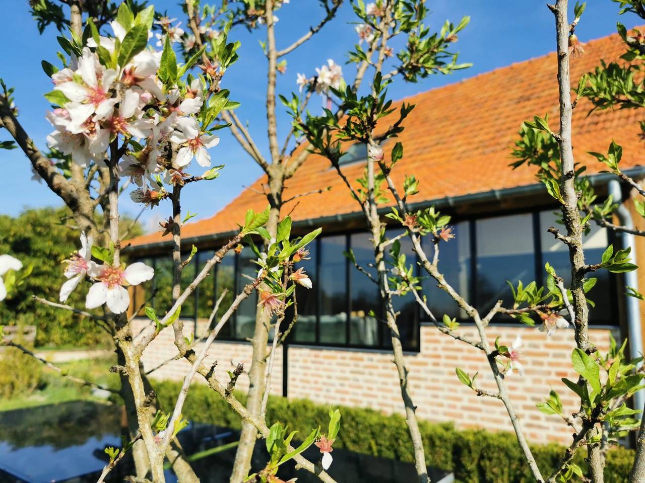 Gîte de Sologne, Le Pti'Fernin in Saint-Viâtre, Sologne