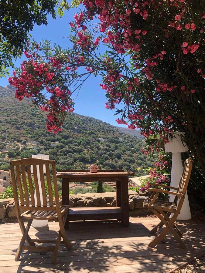 Casa vacanza per 2 persone, con idromassaggio e terrazza in Corbara