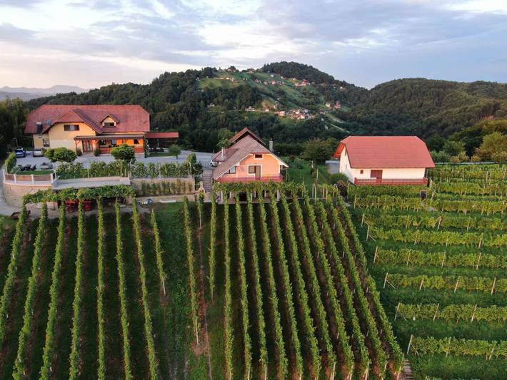 Bauernhof für 5 Personen, mit Balkon in Slowenien - 4