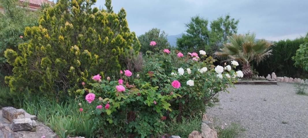 Casa rural para 12 personas, con vistas además de jardín y piscina en Comarca del Noroeste (Murcia) - 2
