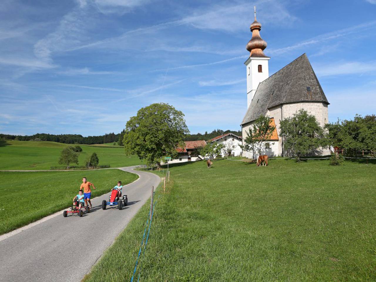 Ganze Ferienwohnung, Lapperhof - Ferienwohnung bis 6 Pers. im 1. Og, Balkon, 100 qm in Waging am See, Landkreis Traunstein