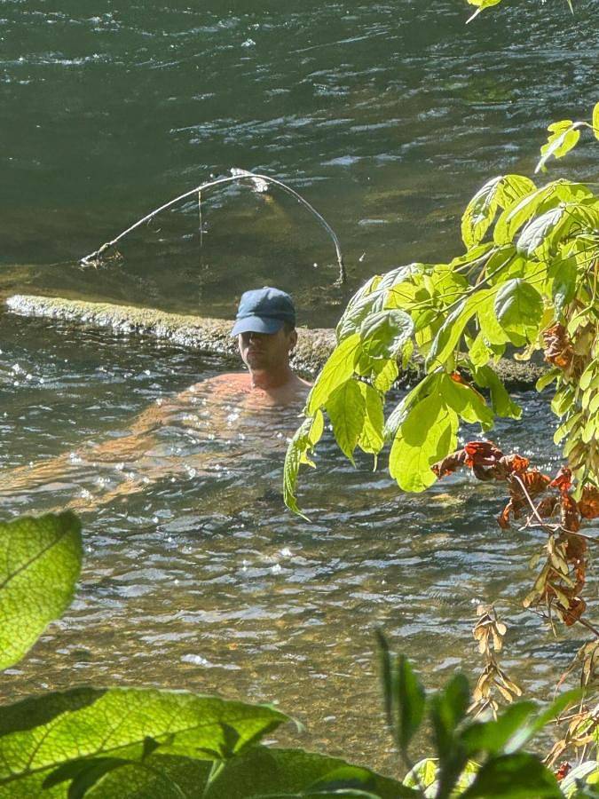 Location de vacances pour 5 personnes, avec vue et jardin, animaux acceptés à Boussy-Saint-Antoine - 4