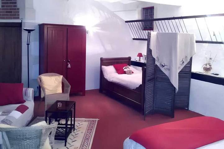 Gîte pour 3 personnes, avec jardin à Saché - 4