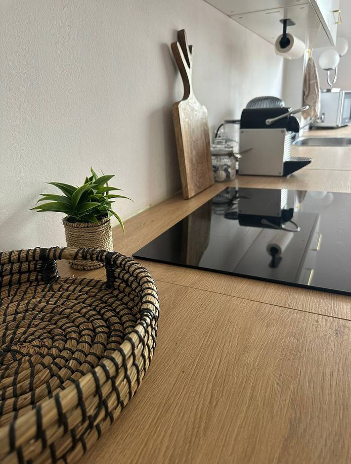 Ganze Wohnung, Ferienwohnung 'Deluxe Loftapartement Big Size' mit Gemeinschaftsterrasse und Wlan in Duisburg, Niederrhein
