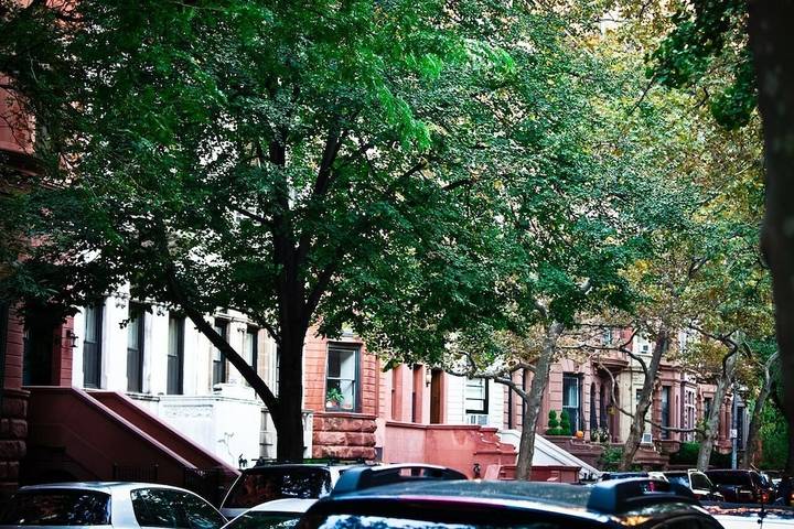 Gîte pour 2 personnes dans Central Park - 4