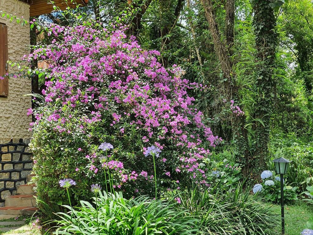 Schönes Haus mit toller Lage, das 12 Personen Platz bietet, in Monte Verde, Minas Gerais