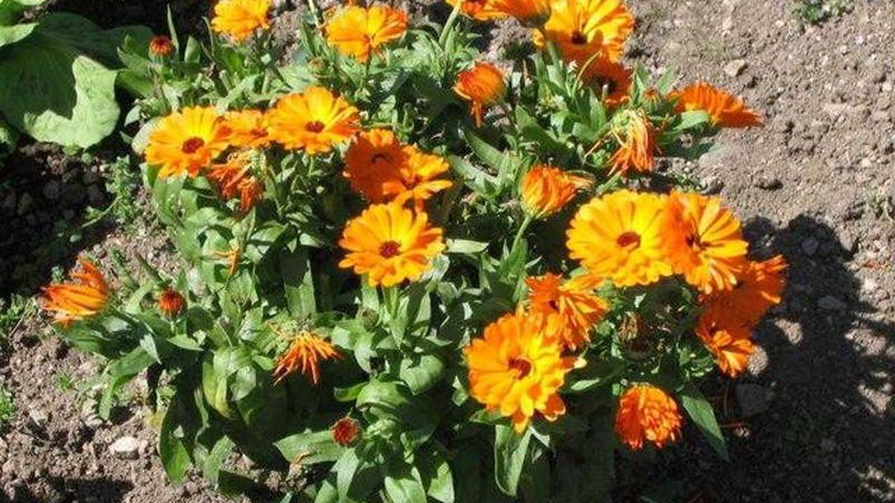 Room for 9 people with balcony in Nauderer Berge, Nauders