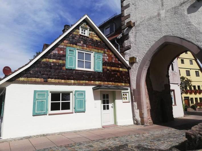 Ferienhaus für 4 Personen, mit Terrasse und Garten sowie Sauna und Ausblick in Neubulach - 2