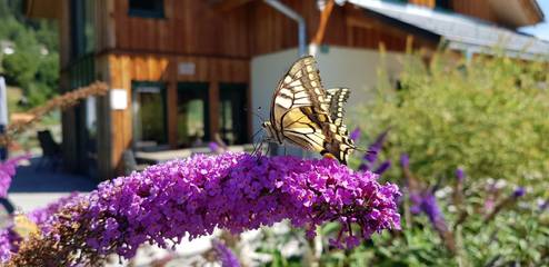 Chalet für 12 Personen in Murau, Westliche Obersteiermark, Bild 4