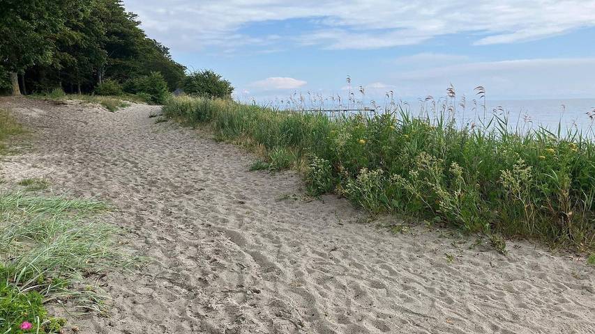 Ferienhaus für 9 Personen, mit Sauna und Whirlpool sowie Garten in Nysted