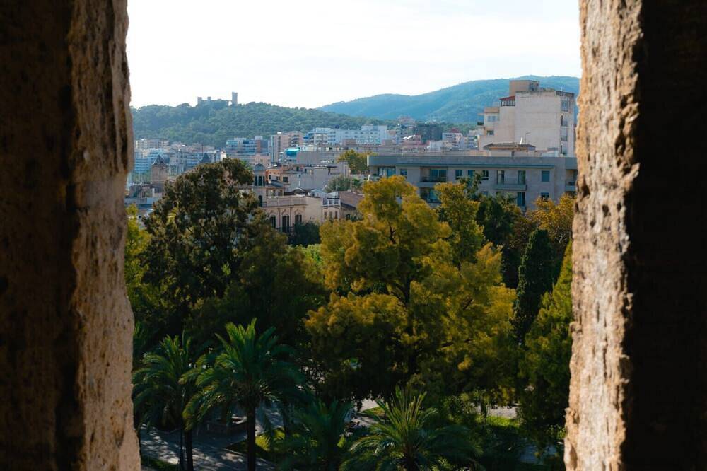 Apartamento entero, Samu - Cala Ratjada - Mallorca in Cala Rajada, Capdepera