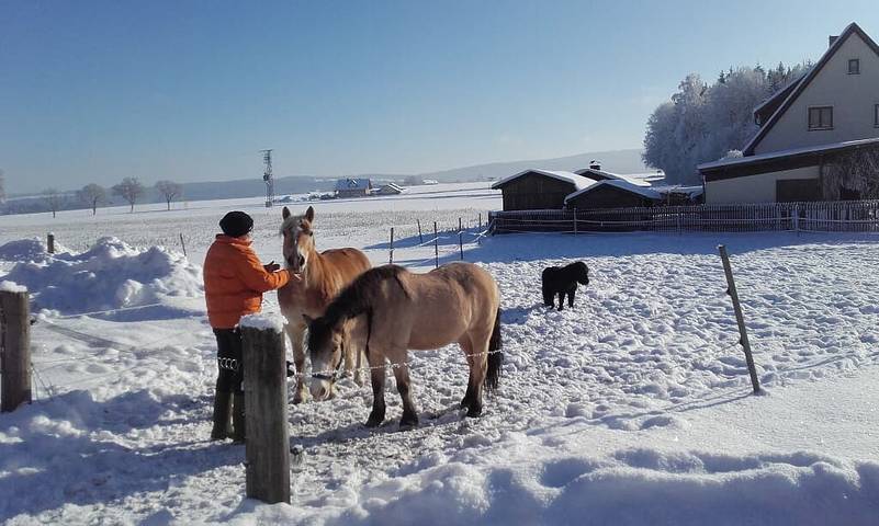 Ferienhaus für 4 Personen, mit Sauna im Fichtelgebirge - 4