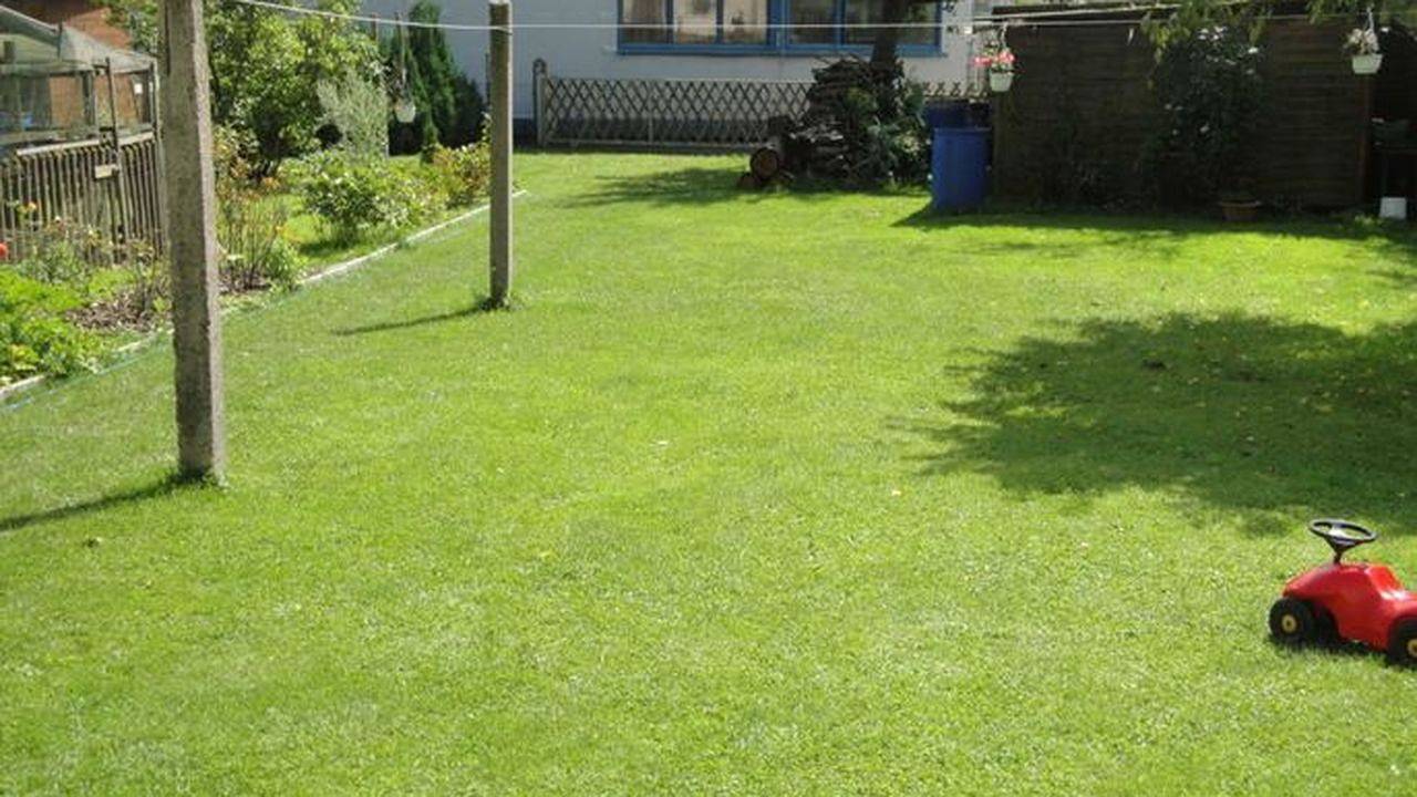 Ganze Ferienwohnung, Ferienwohnung für 5 Personen (72 m²) in Tannroda in Bad Berka, Weimarer Land