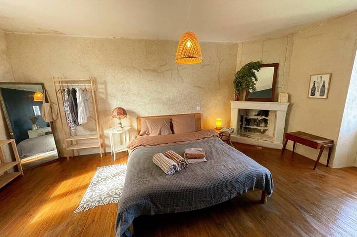 Gîte pour 6 personnes, avec jardin, animaux acceptés à Candes-Saint-Martin - 3