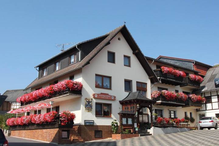 BnB für 4 Personen, mit Balkon und Terrasse sowie Garten und Sauna in Willingen