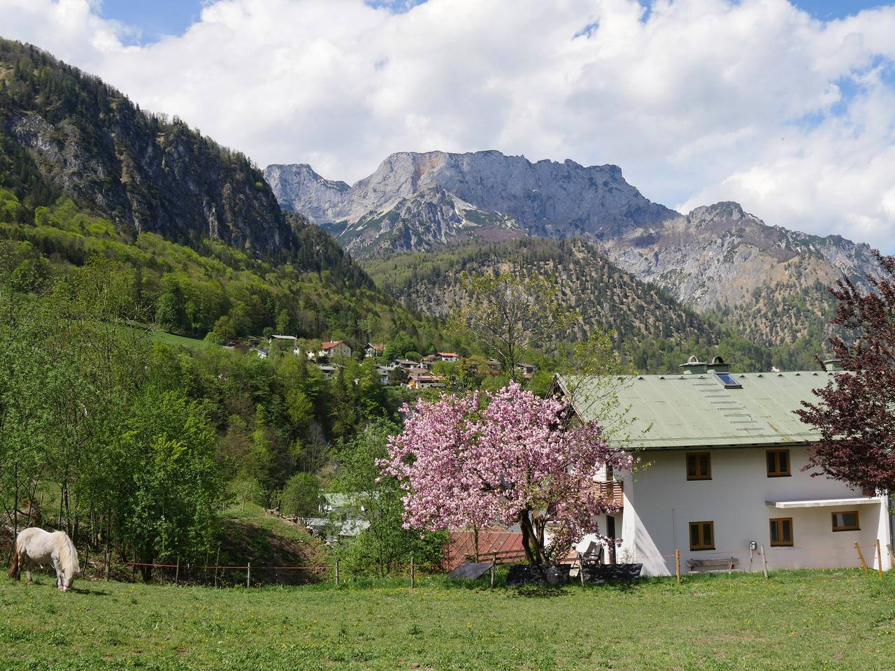 Ganze Ferienwohnung, Haus Schiller - Panorama-Ferienwohnung Untersbergblick für 4 Personen mit Terrasse, ruhige Lage in Göllstock, Marktschellenberg