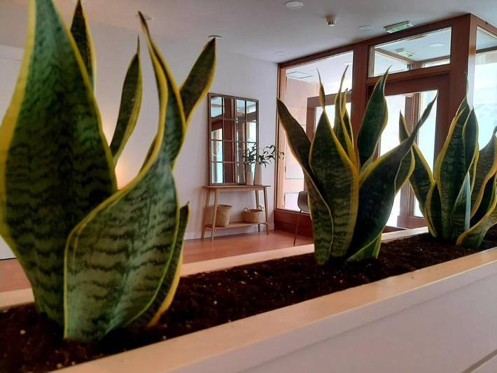 Hôtel pour 4 personnes, animaux acceptés à Tafalla - 4