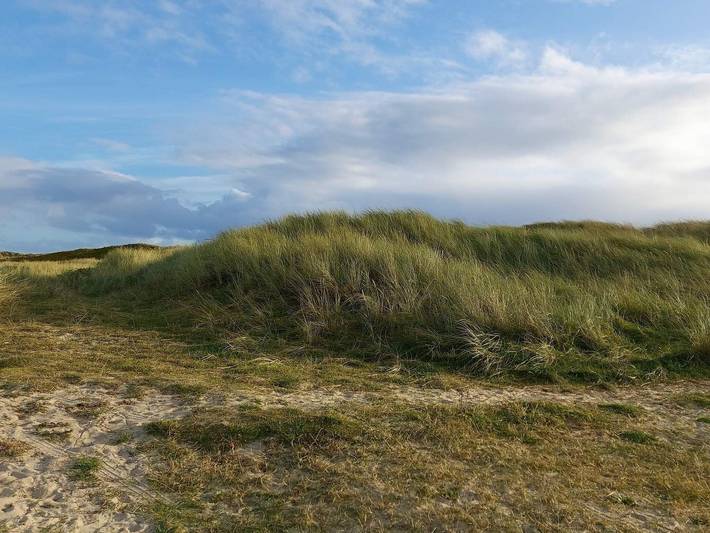 Ferienhaus für 6 Personen, kinderfreundlich in Tirpitz Museum (Oksby) - 4