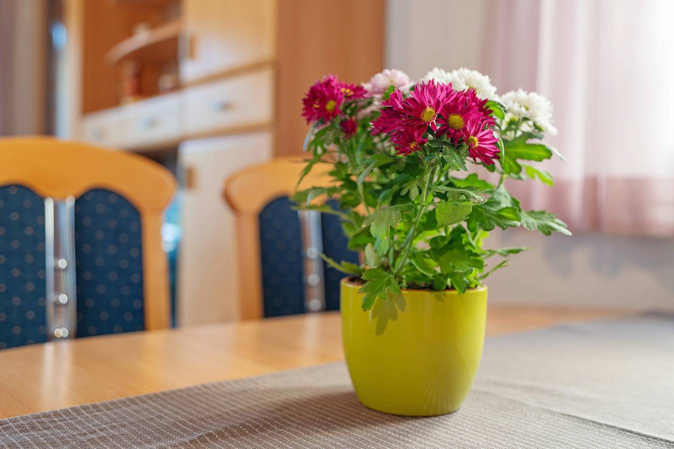Ganze Wohnung, Ferienwohnung 'Sonnenschein' mit Gemeinschaftspool, privater Terrasse und Wlan in Pfinztal, Nordschwarzwald