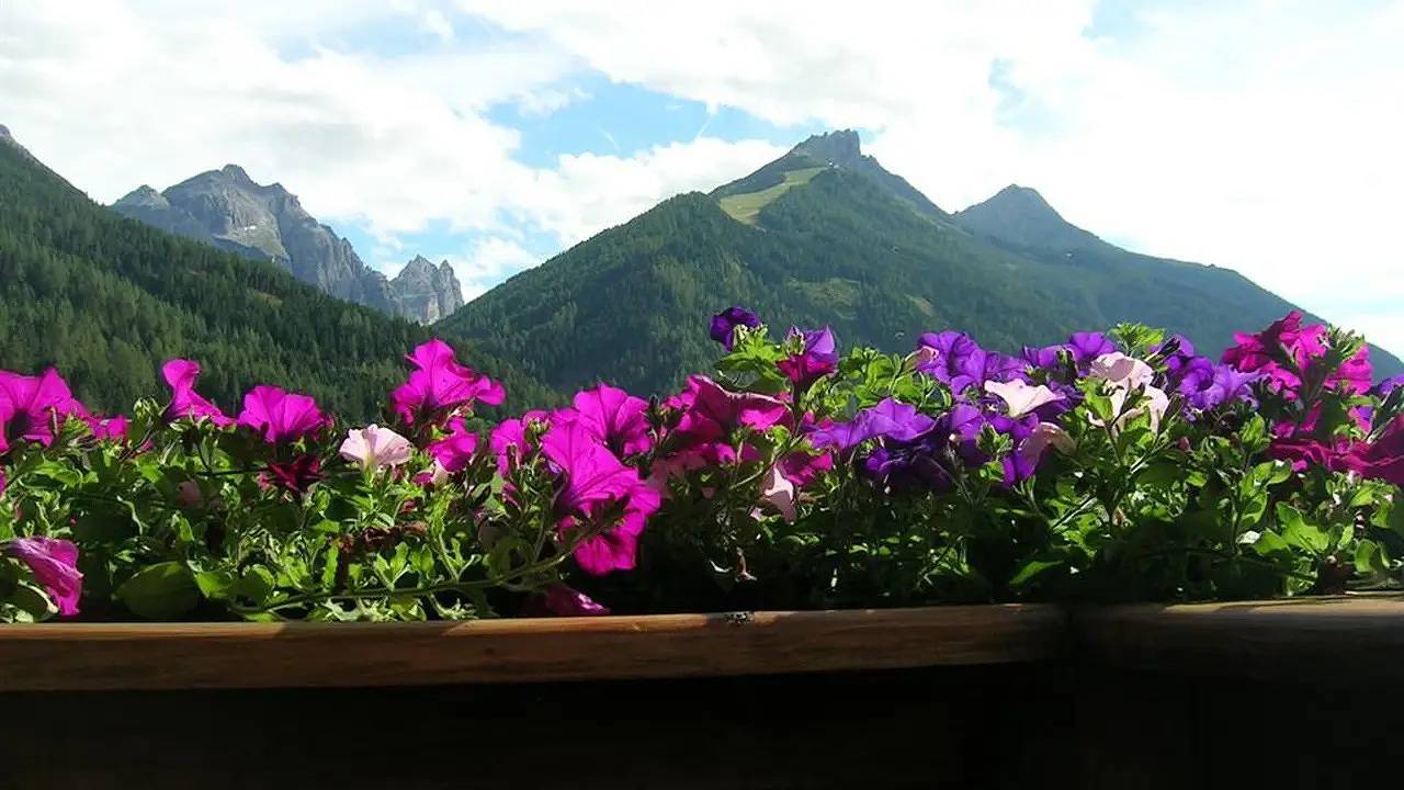 Ganze Ferienwohnung, Ferienwohnung für 5 Personen (90 m²) in Neustift im Stubaital in Stubaier Alpen, Neustift im Stubaital