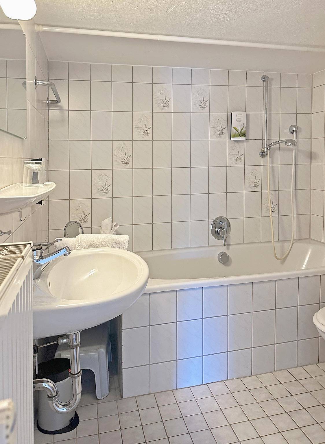 Ganze Ferienwohnung, Alpseepanorama in Bühl am Alpsee, Immenstadt